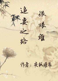 《追妻之路很艱難》