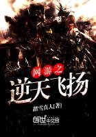 《網遊之逆天飛揚》