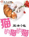 《猫的猫的猫》
