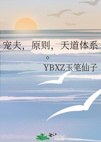 《宠夫,原则,天道体系》