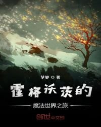 《霍格沃茨的魔法世界之旅》