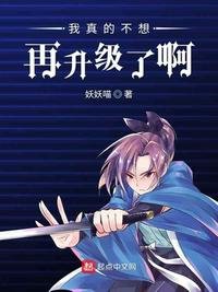 《我真的不想再升級了啊》