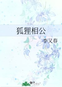 狐狸相公