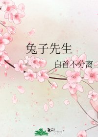 兔子先生
