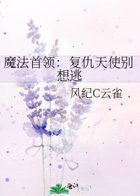 《魔法首领:复仇天使别想逃》