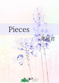 《Pieces》