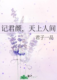 記君顏，天上人間