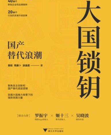 大國鎖鑰:國產替代浪潮(出版書)