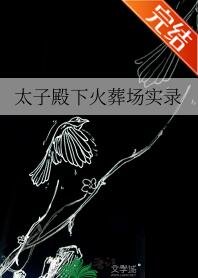 太子殿下火葬場實錄