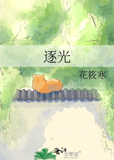 《逐光》