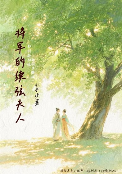 将军的续弦夫人