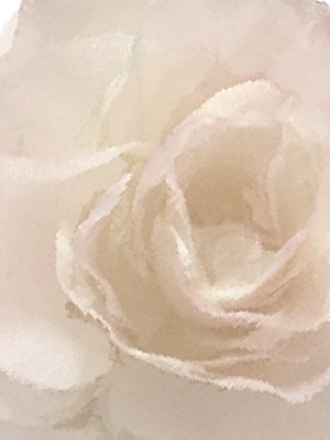 《且自探花》