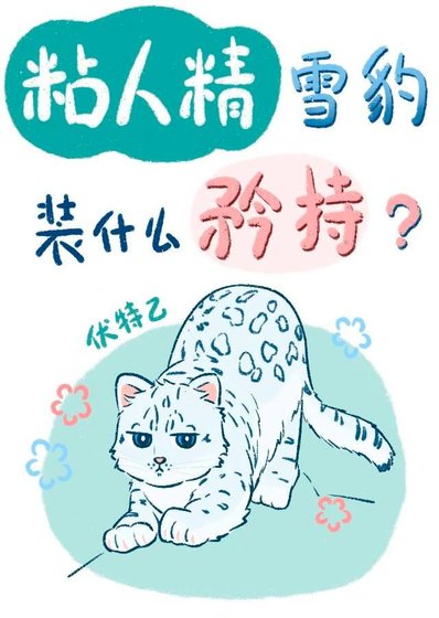 《粘人精雪豹裝什麼矜持?》