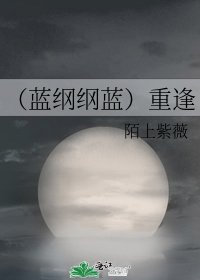 《(藍綱綱藍)重逢》