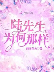 陸先生為何那樣