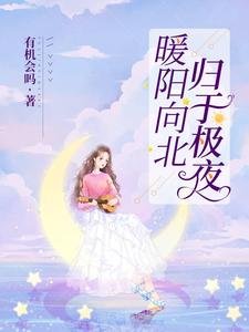暖陽向北,歸於極夜