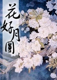 《(美剧同人)同人之花好月圆》