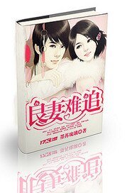 《良妻难追》